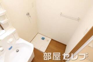 脱衣場と室内洗濯機置場。