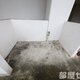 部屋画像18