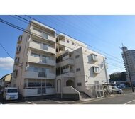 ストーク横地