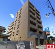 ウイステリア妙音通