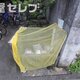 部屋画像21
