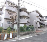 ドリーム梨花