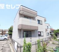 ライラック