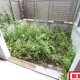 部屋画像27
