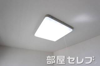 照明。他号室の写真です。