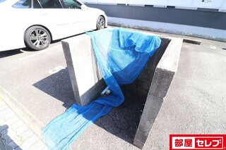 共有階段です。