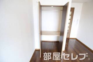 ハンガーラックがあり、奥行きがある収納です。