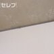 部屋画像29