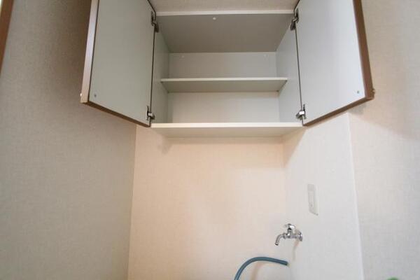 洗剤などの収納に便利です。