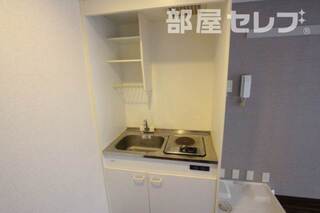 反転タイプの写真です