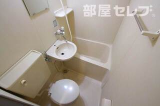 反転タイプの写真です