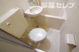 反転タイプの写真です
