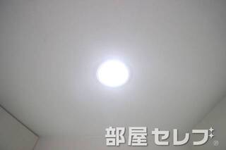 ダウンライト。