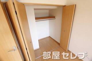 奥行きのある収納。他号室の写真です。