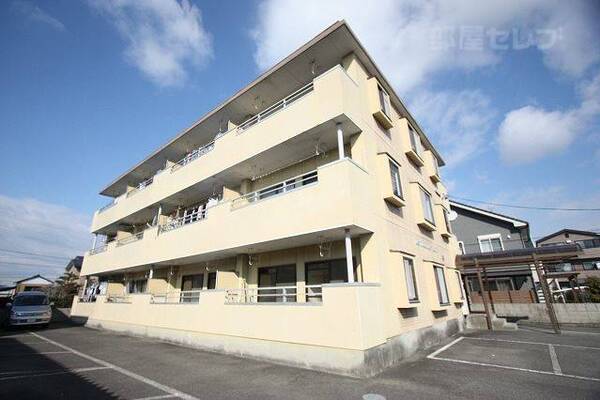 太陽からの光を気持ち良さそうに浴びてますね