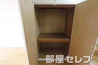 奥行きもあって大量収納が可能です。他号室の写真です。