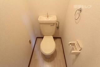 写真はイメージです