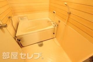 平成29年1月14日撮影