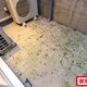 部屋画像9