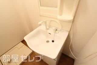 脱衣所には洗濯機とシャンプードレッサー。