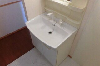 幅の広い洗面台は便利なシャワー付き