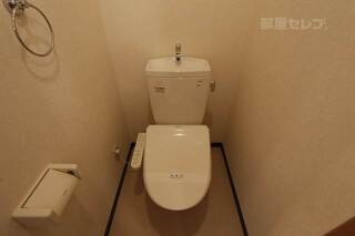 反転タイプの写真です