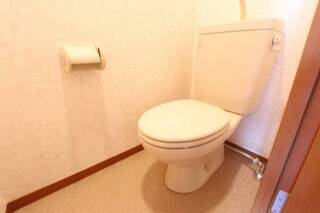 トイレも綺麗です。