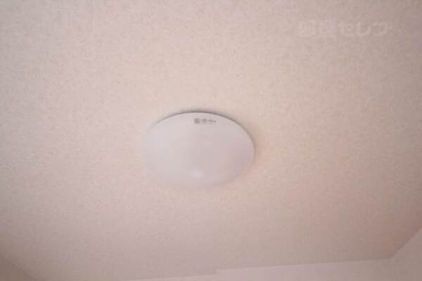 居室照明付いています。