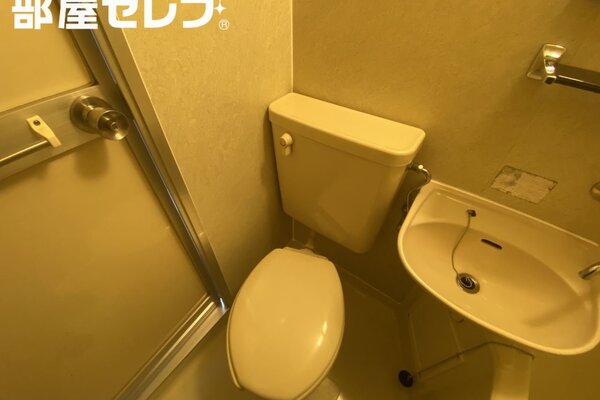 室内に置けます