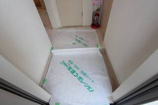 反転タイプの写真になります。