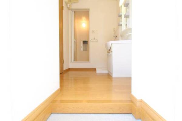 玄関からのお部屋の写真です。