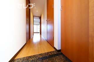 2016年12月9日撮影