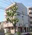 タウニー延珠