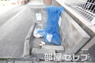 ゴミ置き場。
