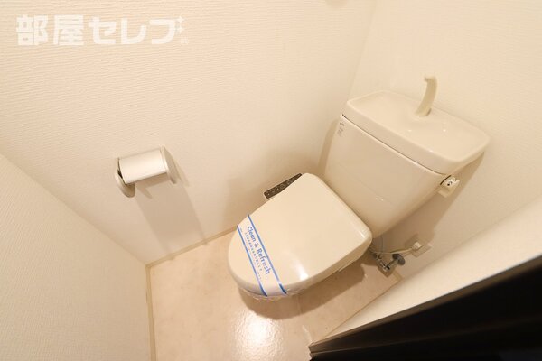 洗濯してそのままかけれます