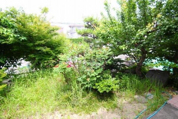 北側にも庭があります。