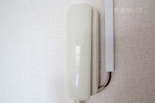 玄関で応対しないので安心です。