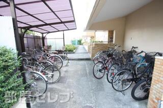 自転車置き場です。