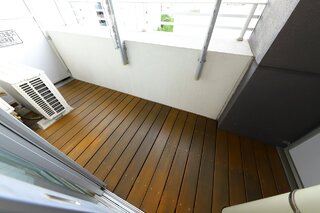 ベランダの木もおしゃれですよ