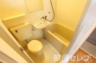 2017.1.20撮影
