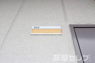 2017.1.20撮影