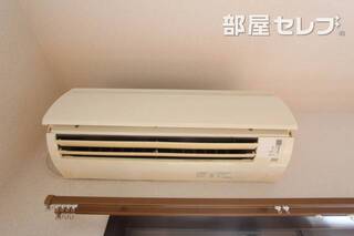 反転タイプの写真です