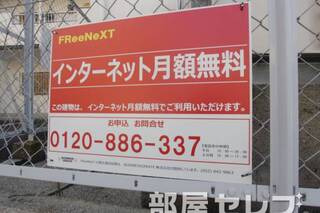 ネット無料。