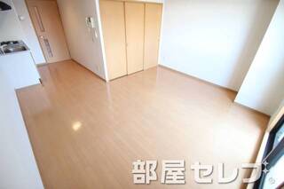 反対タイプの写真です。
