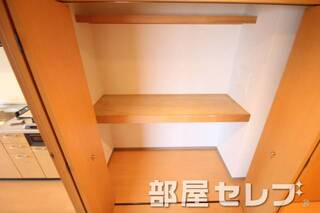 反対タイプの写真です。