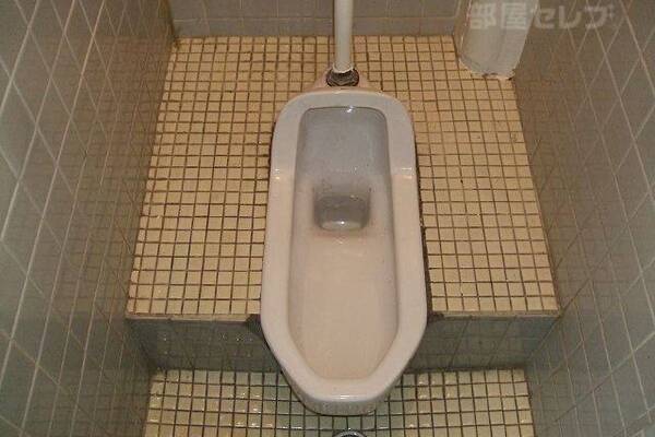 和式トイレになります