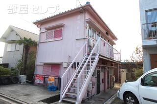 ピンク色で目立ちます。