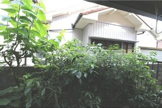 ガスキッチンのシステムキッチンです。