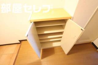 リビングにある大きめのクローゼットです