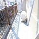 部屋画像11